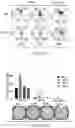 Fig. 46 - MATERIALS AND METHODS FOR BONE MARROW TRANSPLANTATION