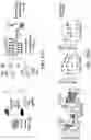 Fig. 52 - MATERIALS AND METHODS FOR BONE MARROW TRANSPLANTATION