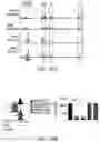 Fig. 61 - MATERIALS AND METHODS FOR BONE MARROW TRANSPLANTATION