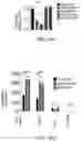 Fig. 62 - MATERIALS AND METHODS FOR BONE MARROW TRANSPLANTATION