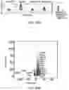 Fig. 69 - MATERIALS AND METHODS FOR BONE MARROW TRANSPLANTATION