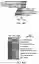 Fig. 70 - MATERIALS AND METHODS FOR BONE MARROW TRANSPLANTATION