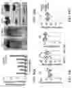 Fig. 79 - MATERIALS AND METHODS FOR BONE MARROW TRANSPLANTATION
