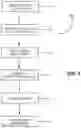 Fig. 02 - MICRONIZED PLACENTAL TISSUE COMPOSITIONS AND METHODS OF MAKING AND USING THE SAME