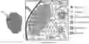 Fig. 01 - USE OF OVARIAN-DERIVED HYDROGELS FOR RESTORATION OF REPRODUCTIVE FUNCTION AND HEALTH IN WOMEN