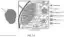 Fig. 02 - USE OF OVARIAN-DERIVED HYDROGELS FOR RESTORATION OF REPRODUCTIVE FUNCTION AND HEALTH IN WOMEN