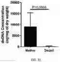 Fig. 08 - USE OF OVARIAN-DERIVED HYDROGELS FOR RESTORATION OF REPRODUCTIVE FUNCTION AND HEALTH IN WOMEN