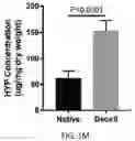 Fig. 09 - USE OF OVARIAN-DERIVED HYDROGELS FOR RESTORATION OF REPRODUCTIVE FUNCTION AND HEALTH IN WOMEN