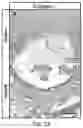 Fig. 11 - USE OF OVARIAN-DERIVED HYDROGELS FOR RESTORATION OF REPRODUCTIVE FUNCTION AND HEALTH IN WOMEN