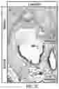 Fig. 13 - USE OF OVARIAN-DERIVED HYDROGELS FOR RESTORATION OF REPRODUCTIVE FUNCTION AND HEALTH IN WOMEN