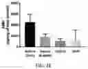 Fig. 15 - USE OF OVARIAN-DERIVED HYDROGELS FOR RESTORATION OF REPRODUCTIVE FUNCTION AND HEALTH IN WOMEN