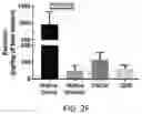 Fig. 16 - USE OF OVARIAN-DERIVED HYDROGELS FOR RESTORATION OF REPRODUCTIVE FUNCTION AND HEALTH IN WOMEN
