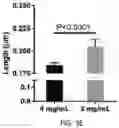 Fig. 20 - USE OF OVARIAN-DERIVED HYDROGELS FOR RESTORATION OF REPRODUCTIVE FUNCTION AND HEALTH IN WOMEN
