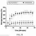 Fig. 24 - USE OF OVARIAN-DERIVED HYDROGELS FOR RESTORATION OF REPRODUCTIVE FUNCTION AND HEALTH IN WOMEN