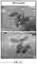 Fig. 36 - USE OF OVARIAN-DERIVED HYDROGELS FOR RESTORATION OF REPRODUCTIVE FUNCTION AND HEALTH IN WOMEN