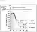 Fig. 28 - ANTIBACTERIAL COMPOSITION AGAINST DRUG-RESISTANT BACTERIA OR PRO-INFLAMMATORY BACTERIA