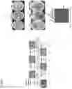 Fig. 04 - PROBIOTIC COMPOSITIONS COMPRISING LACTOBACILLUS REUTERI STRAINS AND METHODS OF USE