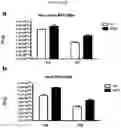 Fig. 04 - Platform Oncolytic Vector for Systemic Delivery