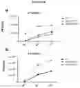 Fig. 11 - Platform Oncolytic Vector for Systemic Delivery