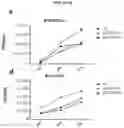Fig. 12 - Platform Oncolytic Vector for Systemic Delivery