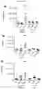 Fig. 13 - Platform Oncolytic Vector for Systemic Delivery