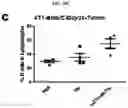 Fig. 16 - Platform Oncolytic Vector for Systemic Delivery