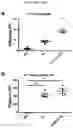 Fig. 17 - Platform Oncolytic Vector for Systemic Delivery