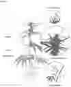 Fig. 06 - HEMP COMPOSITIONS AND METHODS OF MAKING THE SAME