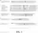 Fig. 02 - Antimicrobial peptides
