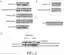 Fig. 03 - Antimicrobial peptides