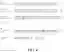 Fig. 05 - Antimicrobial peptides