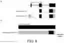 Fig. 09 - Antimicrobial peptides