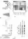 Fig. 07 - A METHOD OF IMMUNE MODULATION BY MODULATING ABCF1