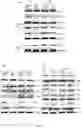 Fig. 10 - A METHOD OF IMMUNE MODULATION BY MODULATING ABCF1