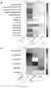 Fig. 11 - A METHOD OF IMMUNE MODULATION BY MODULATING ABCF1