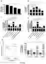 Fig. 29 - A METHOD OF IMMUNE MODULATION BY MODULATING ABCF1
