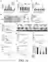 Fig. 12 - METHOD FOR TREATING COLORECTAL CANCER