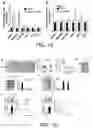 Fig. 14 - METHOD FOR TREATING COLORECTAL CANCER