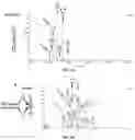Fig. 13 - Compositions and Methods for Preventing the Interaction Between SARS-COV-2 and L-Sign