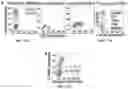 Fig. 20 - Compositions and Methods for Preventing the Interaction Between SARS-COV-2 and L-Sign