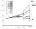 Fig. 04 - ALBUMIN-BOUND COMPOSITION INCLUDING LRRD2 OF SLIT3 PROTEIN FOR PREVENTION OR TREATMENT OF BONE-RELATED DISEASES