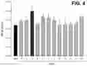 Fig. 05 - ALBUMIN-BOUND COMPOSITION INCLUDING LRRD2 OF SLIT3 PROTEIN FOR PREVENTION OR TREATMENT OF BONE-RELATED DISEASES
