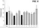 Fig. 06 - ALBUMIN-BOUND COMPOSITION INCLUDING LRRD2 OF SLIT3 PROTEIN FOR PREVENTION OR TREATMENT OF BONE-RELATED DISEASES