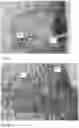 Fig. 29 - Method for preparing a bone protein preparation and a bone protein preparation