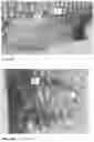 Fig. 30 - Method for preparing a bone protein preparation and a bone protein preparation