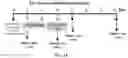 Fig. 02 - METHODS AND COMPOSITIONS FOR TREATMENT OF CANCER
