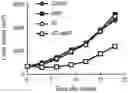 Fig. 01 - METHOD OF TREATING CANCER