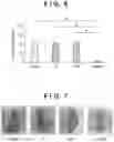 Fig. 04 - METHOD OF TREATING CANCER