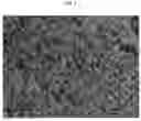 Fig. 06 - Sustained-release lipid preformulation and pharmaceutical composition for sustained-release injection in form of lipid solution containing same