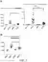 Fig. 13 - METHOD FOR TREATING AND/OR PREVENTING REGNASE-1-RELATED DISEASE
